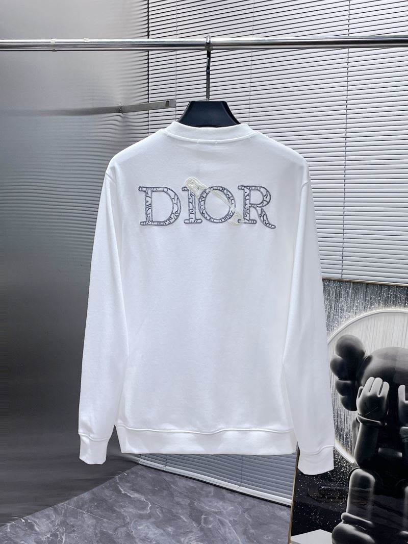 Christian Dior Hoodies